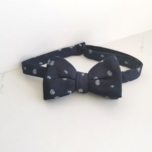 Simon's Navy Paisley Bow Tie